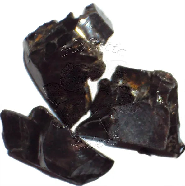 7 Gram Elite Noble Shungite Rough Crystal Miracle Healing Stone EMF Protection