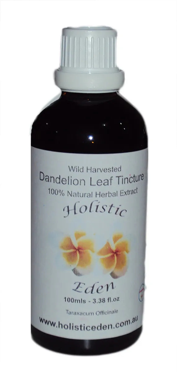 DANDELION LEAF Tincture Extract Herbal Liquid, Taraxacum officinale WILD HARVEST