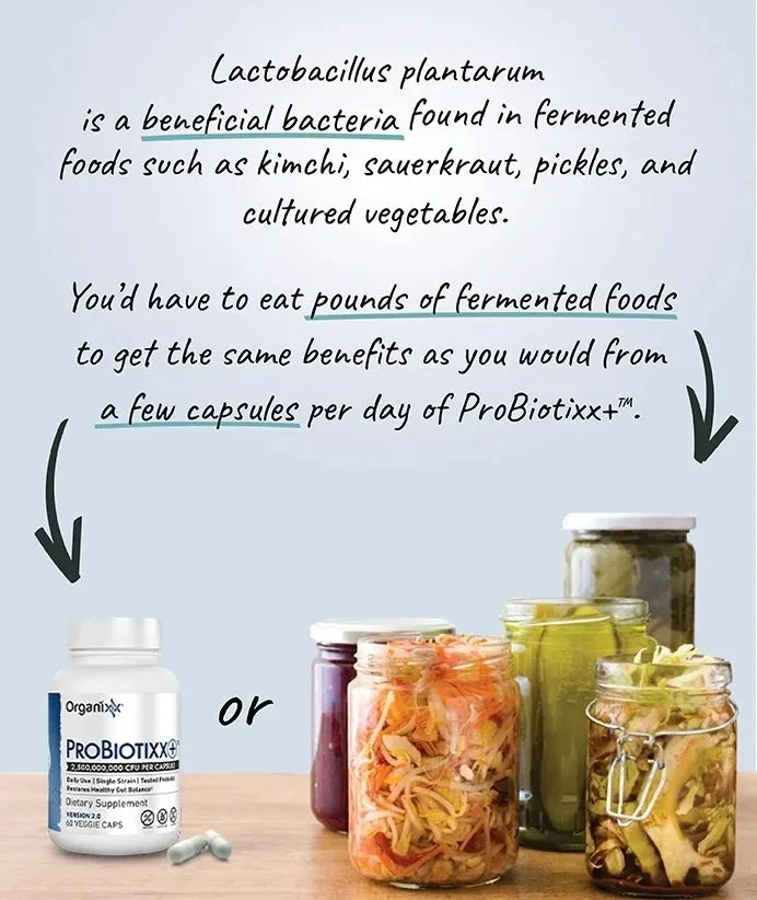 Organixx Probiotixx Probiotic with over 2.5 Billion CFU