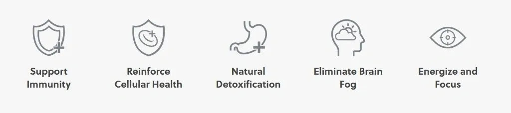 Solaris Plant Sterol Extracts for Gut Health, Immune Support