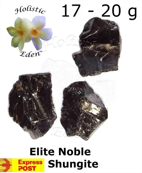 17 - 20 Gram Elite Noble Shungite Rough Stone Water Purification EMF Protection