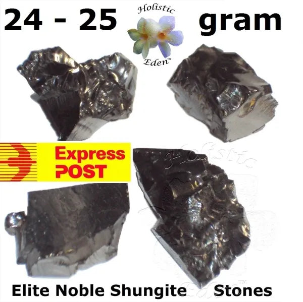 24 - 25 Gram Elite Noble Shungite Rough Stone Water Purification EMF Protection