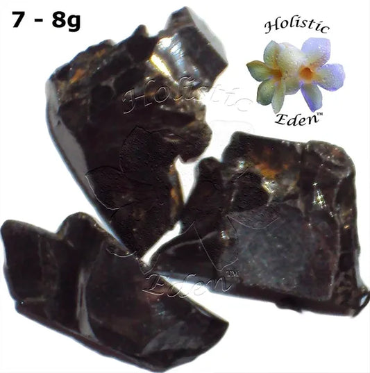 7 Gram Elite Noble Shungite Rough Crystal Miracle Healing Stone EMF Protection
