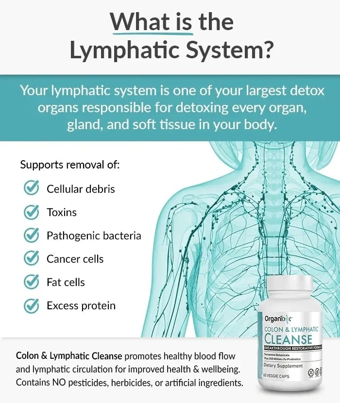 Colon & Lymphatic Cleanse - Fermented Botanical Blend Supports Healthy Gut