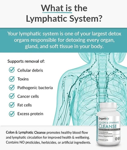 Colon & Lymphatic Cleanse - Fermented Botanical Blend Supports Healthy Gut