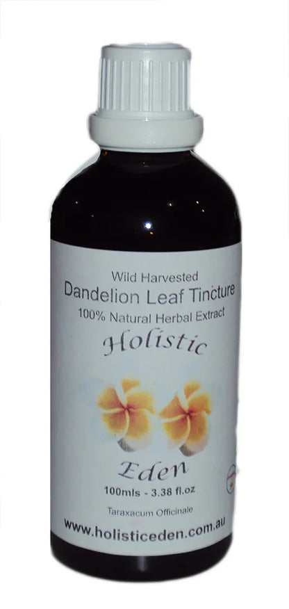 DANDELION LEAF Tincture Extract Herbal Liquid, Taraxacum officinale WILD HARVEST