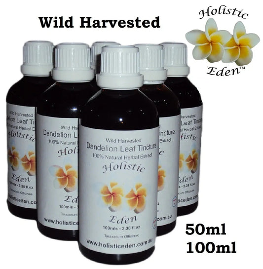 DANDELION LEAF Tincture Extract Herbal Liquid, Taraxacum officinale WILD HARVEST