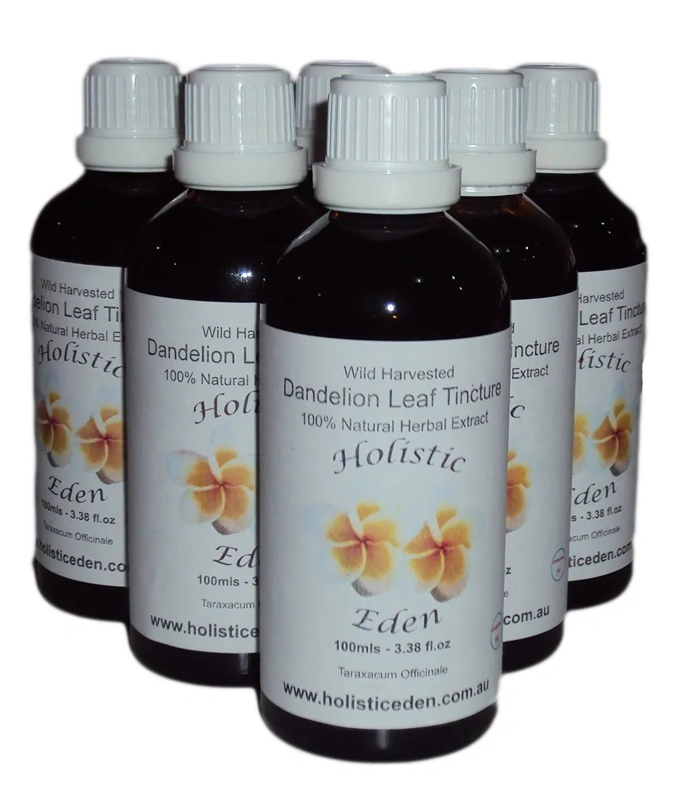 DANDELION LEAF Tincture Extract Herbal Liquid, Taraxacum officinale WILD HARVEST