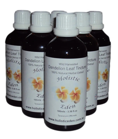 DANDELION LEAF Tincture Extract Herbal Liquid, Taraxacum officinale WILD HARVEST