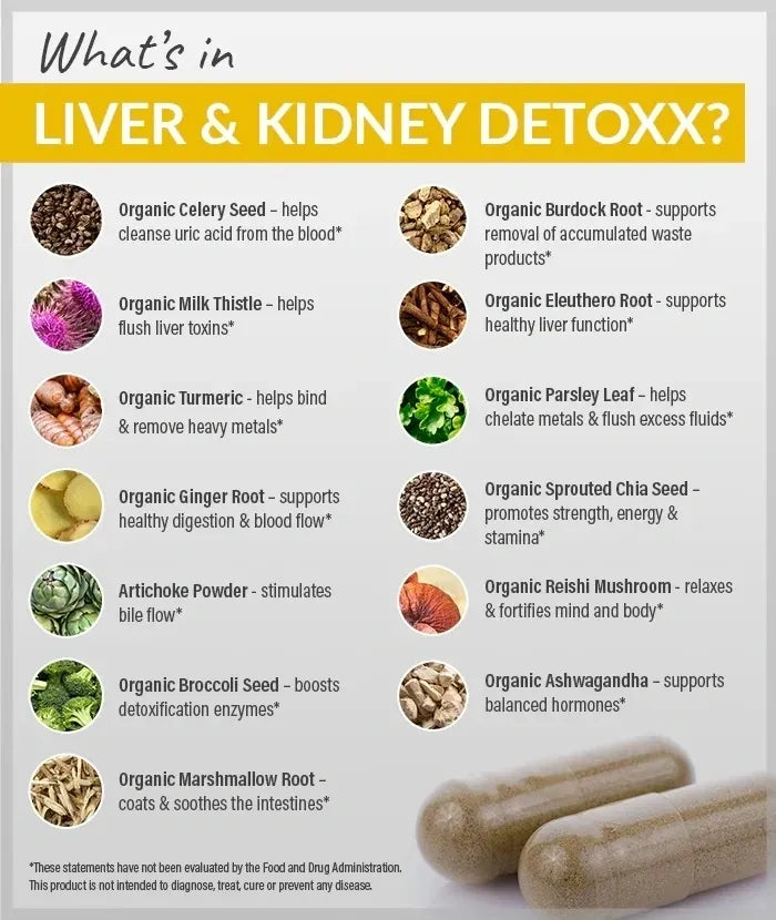 Liver & Kidney Fermented Detox Blend