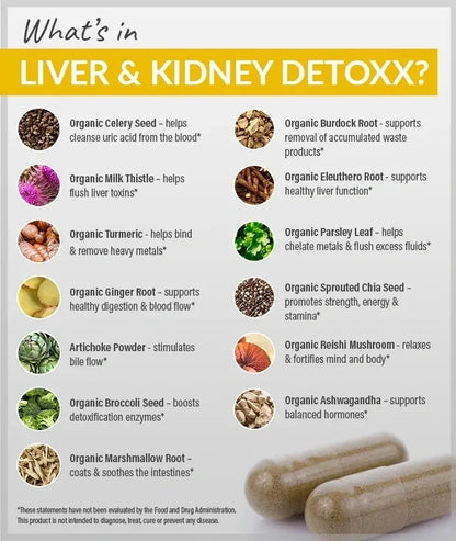 Liver & Kidney Fermented Detox Blend