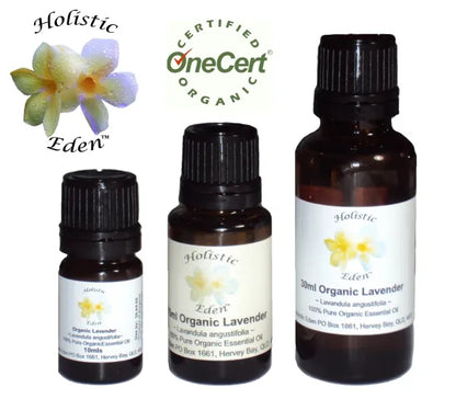 ORGANIC LAVENDER ESSENTIAL OIL PURE BULGARIAN Lavandula Angustifolia