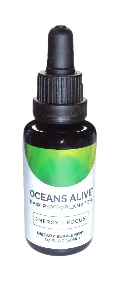 Oceans Alive - phytoplankton strains