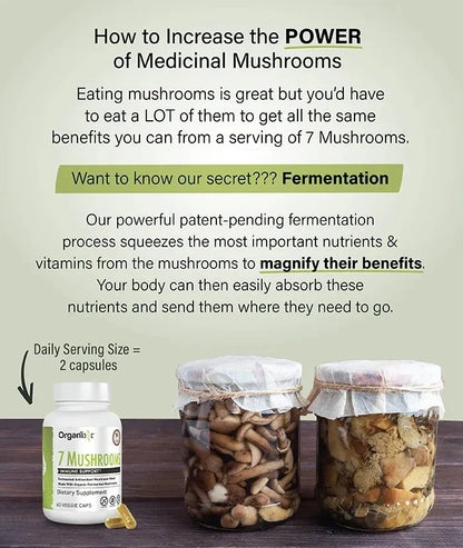 Organixx 7 Mushrooms Immune-Supporting Fermented Mushroom Blend, Organic Mushrooms