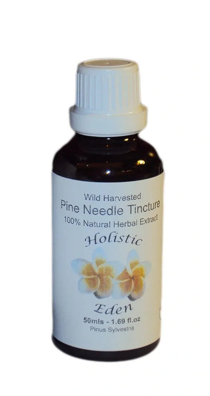 Pine Needle Tincture, Extract Wild Harvested Balkan Mountain Natural Organic