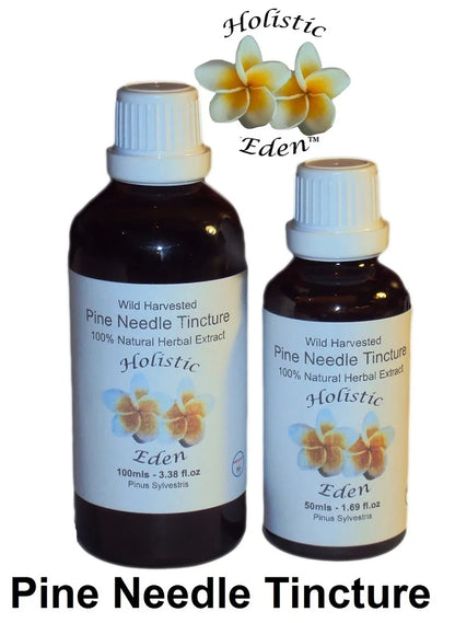 Pine Needle Tincture, Extract Wild Harvested Balkan Mountain Natural Organic