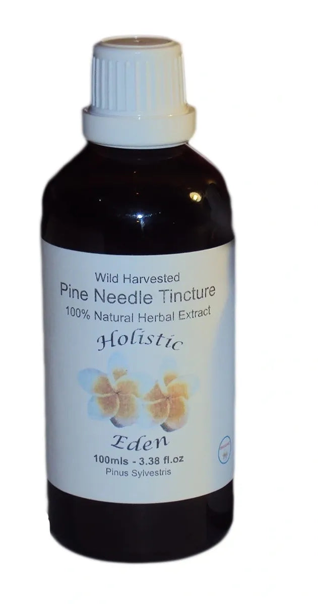 Pine Needle Tincture, Extract Wild Harvested Balkan Mountain Natural Organic