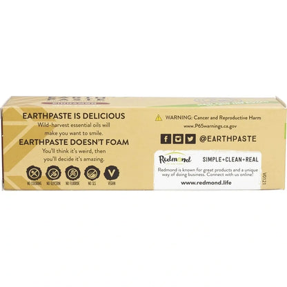 Redmond Real Salt Natural Bentonite clay Cinnamon Silver Earth Paste Toothpaste