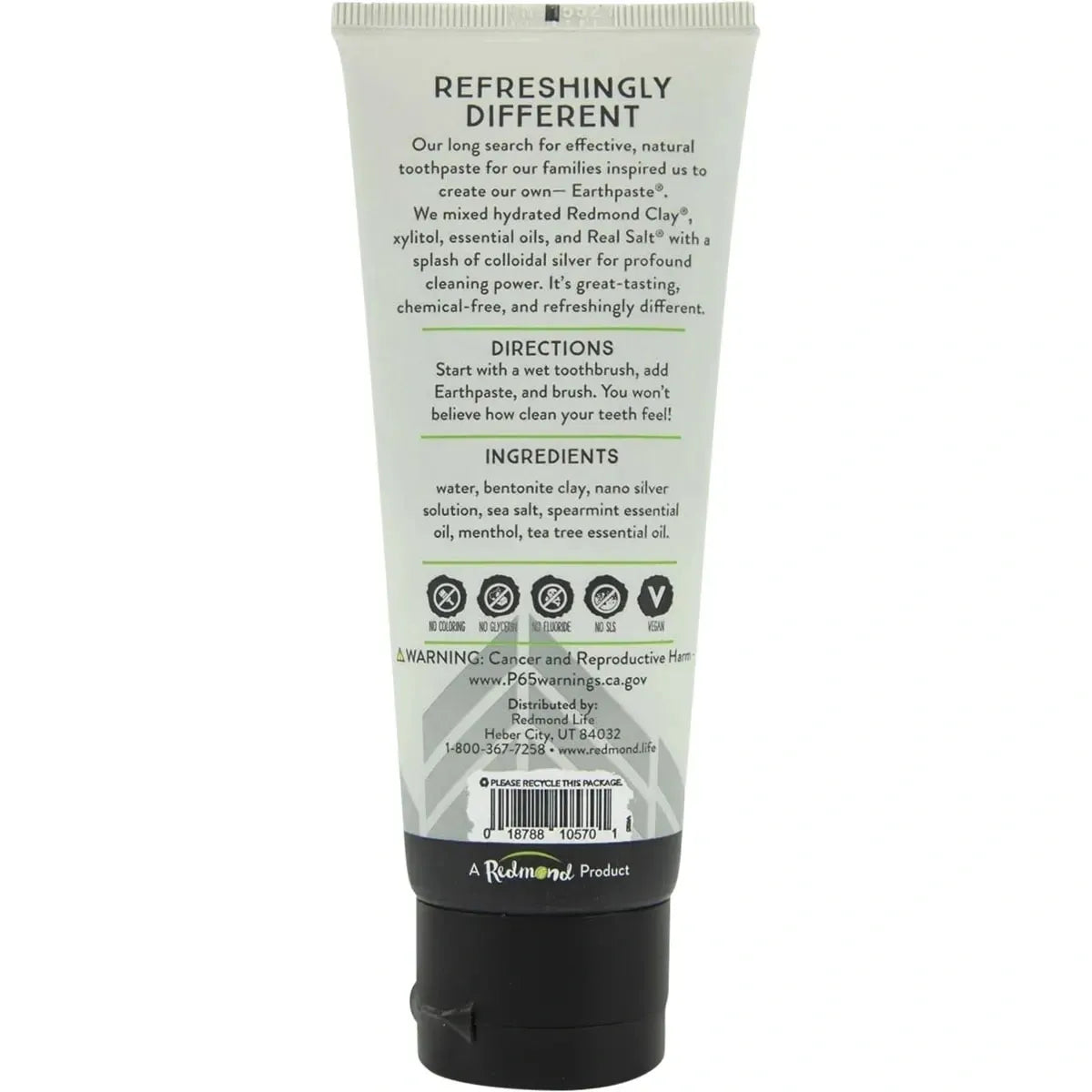 Redmond Real Salt Natural Bentonite clay Spearmint Silver EarthPaste Toothpaste