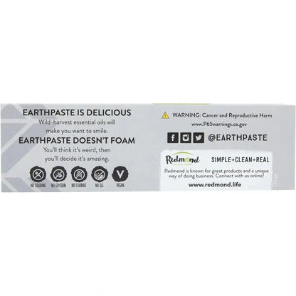 Redmond Real Salt Natural Bentonite clay Spearmint Silver EarthPaste Toothpaste