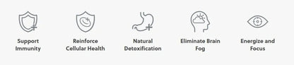 Solaris Plant Sterol Extracts for Gut Health, Immune Support